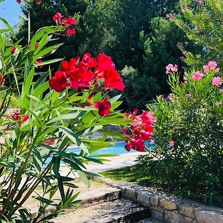 Bed and Breakfast Mas Lou Piastoun Fayence Exteriér fotografie