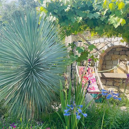 Bed and Breakfast Mas Lou Piastoun Fayence Exteriér fotografie