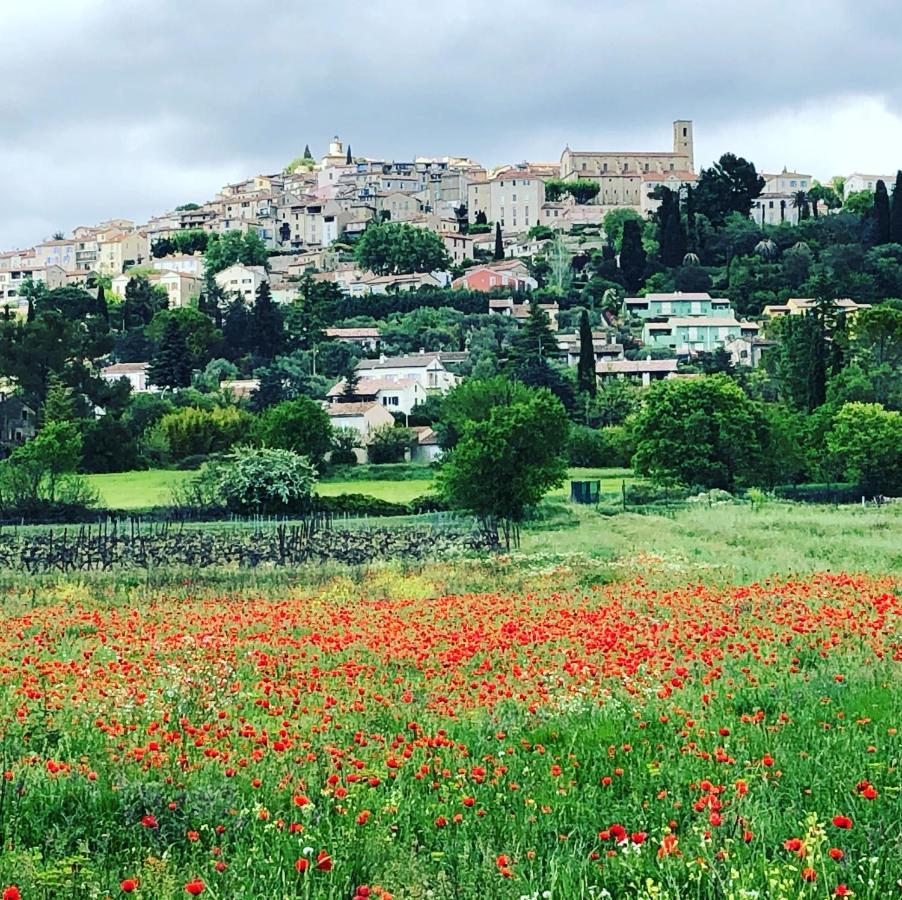 Bed and Breakfast Mas Lou Piastoun Fayence Exteriér fotografie