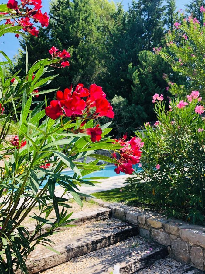 Bed and Breakfast Mas Lou Piastoun Fayence Exteriér fotografie