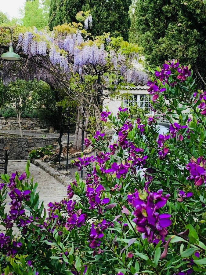 Bed and Breakfast Mas Lou Piastoun Fayence Exteriér fotografie