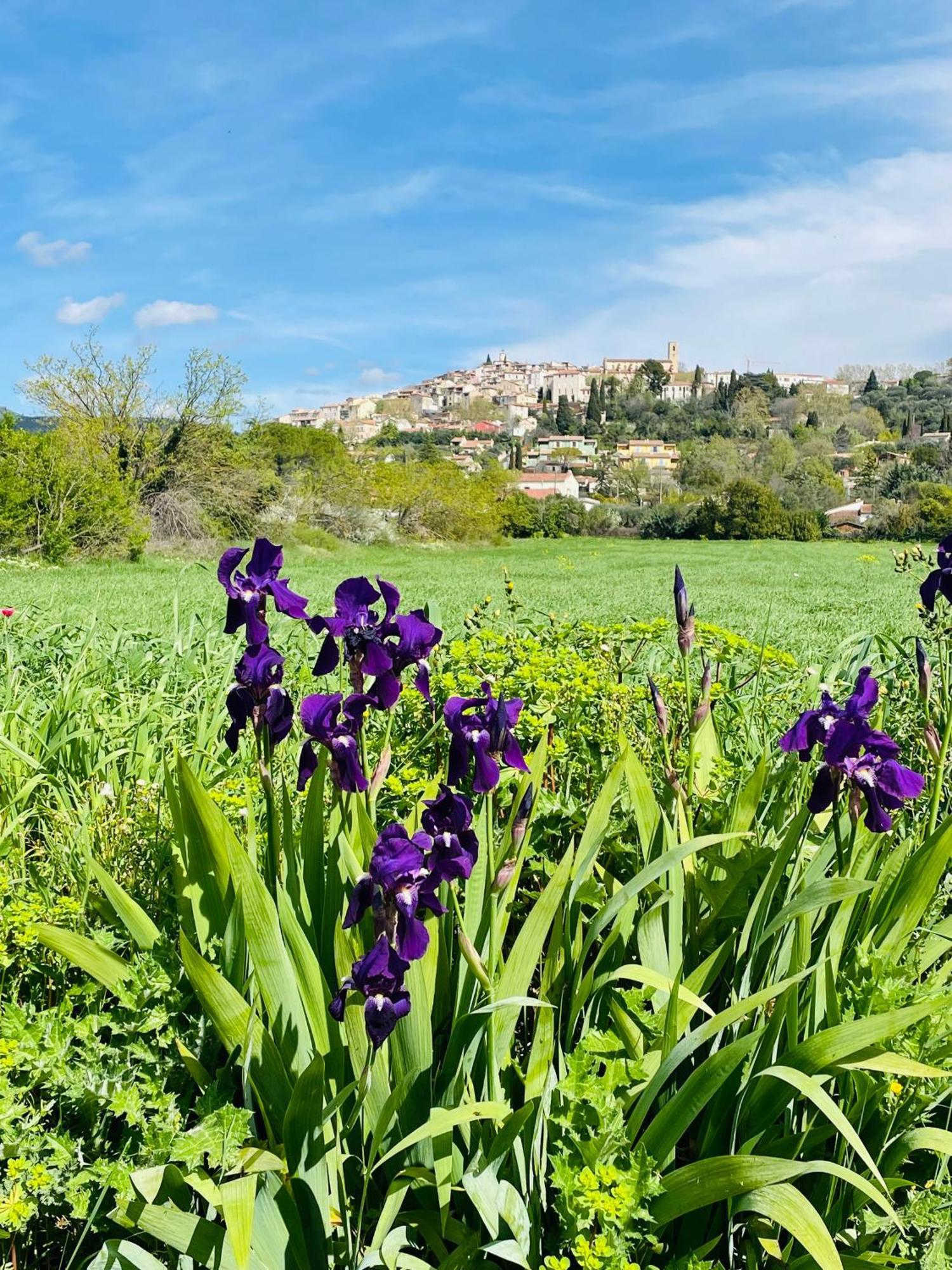 Bed and Breakfast Mas Lou Piastoun Fayence Exteriér fotografie