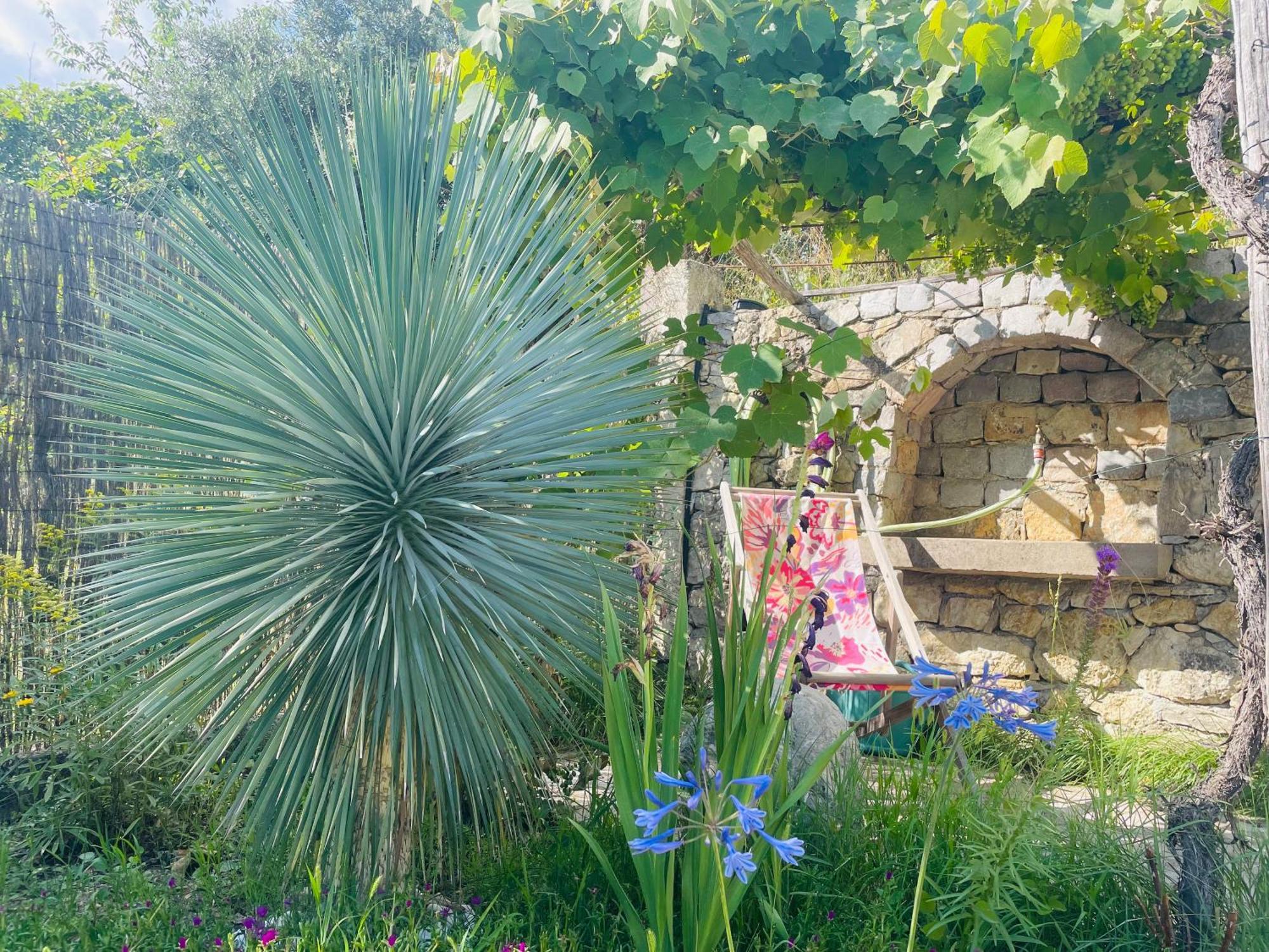 Bed and Breakfast Mas Lou Piastoun Fayence Exteriér fotografie